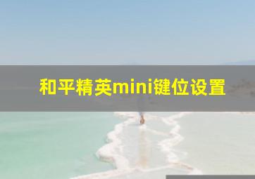 和平精英mini键位设置