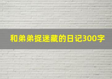 和弟弟捉迷藏的日记300字