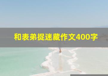 和表弟捉迷藏作文400字