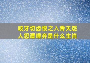 咬牙切齿恨之入骨天怨人怨遭唾弃是什么生肖