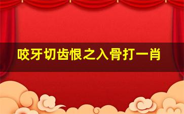 咬牙切齿恨之入骨打一肖