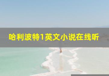 哈利波特1英文小说在线听