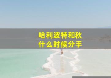 哈利波特和秋什么时候分手