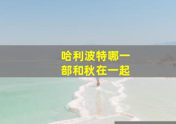 哈利波特哪一部和秋在一起