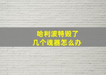 哈利波特毁了几个魂器怎么办