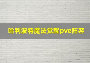 哈利波特魔法觉醒pve阵容