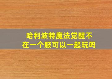 哈利波特魔法觉醒不在一个服可以一起玩吗