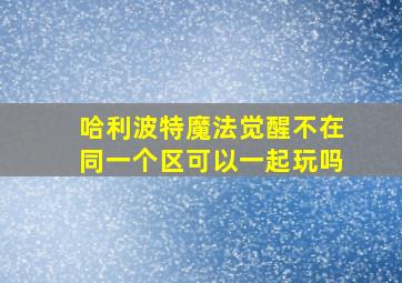 哈利波特魔法觉醒不在同一个区可以一起玩吗