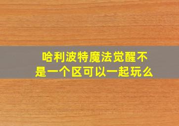 哈利波特魔法觉醒不是一个区可以一起玩么