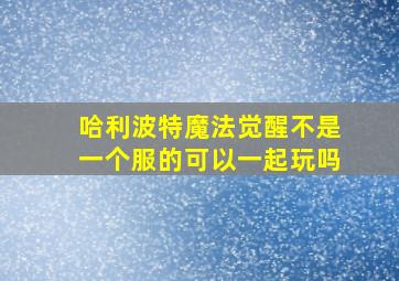 哈利波特魔法觉醒不是一个服的可以一起玩吗