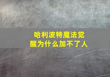 哈利波特魔法觉醒为什么加不了人