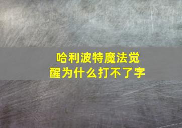 哈利波特魔法觉醒为什么打不了字