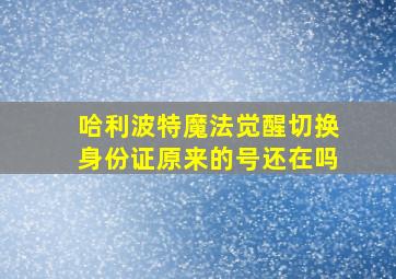 哈利波特魔法觉醒切换身份证原来的号还在吗