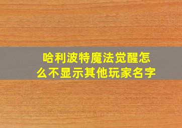 哈利波特魔法觉醒怎么不显示其他玩家名字