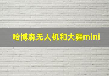 哈博森无人机和大疆mini