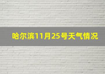 哈尔滨11月25号天气情况