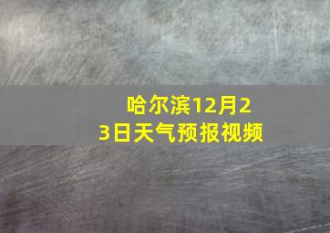 哈尔滨12月23日天气预报视频