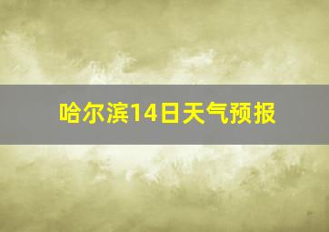 哈尔滨14日天气预报