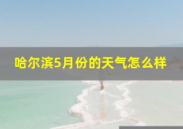 哈尔滨5月份的天气怎么样