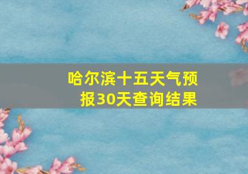 哈尔滨十五天气预报30天查询结果