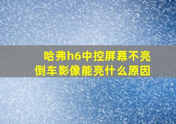 哈弗h6中控屏幕不亮倒车影像能亮什么原因