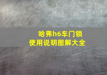 哈弗h6车门锁使用说明图解大全