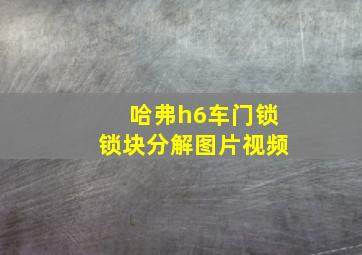 哈弗h6车门锁锁块分解图片视频