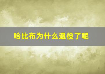 哈比布为什么退役了呢