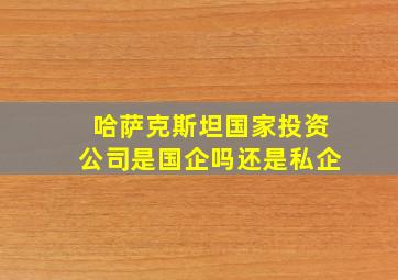 哈萨克斯坦国家投资公司是国企吗还是私企