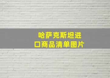 哈萨克斯坦进口商品清单图片