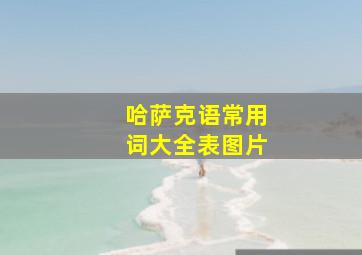 哈萨克语常用词大全表图片