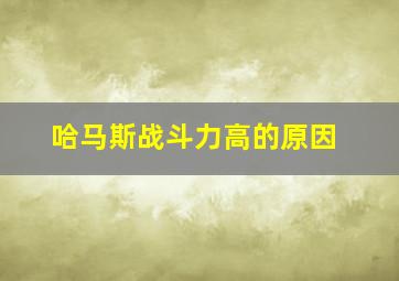 哈马斯战斗力高的原因