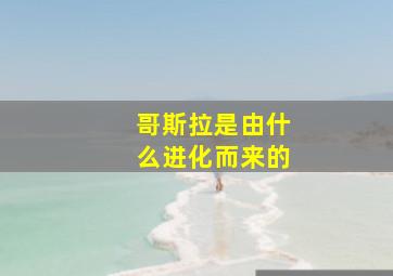 哥斯拉是由什么进化而来的