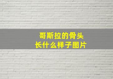 哥斯拉的骨头长什么样子图片