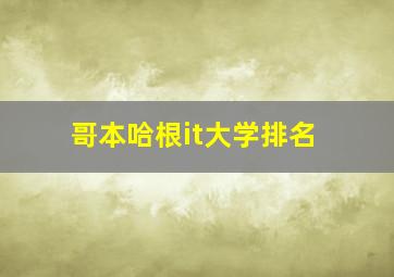 哥本哈根it大学排名