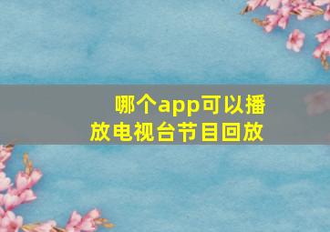 哪个app可以播放电视台节目回放