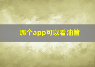 哪个app可以看油管