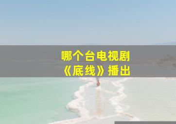 哪个台电视剧《底线》播出