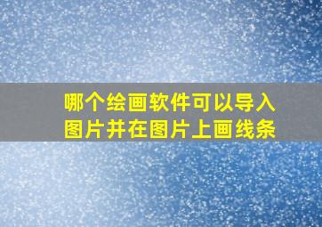 哪个绘画软件可以导入图片并在图片上画线条