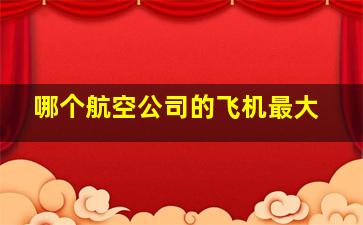 哪个航空公司的飞机最大