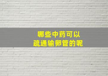 哪些中药可以疏通输卵管的呢