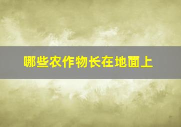 哪些农作物长在地面上