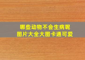 哪些动物不会生病呢图片大全大图卡通可爱