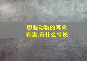 哪些动物的耳朵有趣,有什么特长