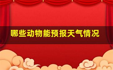 哪些动物能预报天气情况