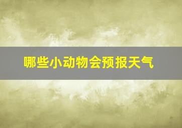 哪些小动物会预报天气