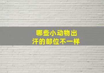 哪些小动物出汗的部位不一样