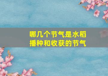 哪几个节气是水稻播种和收获的节气