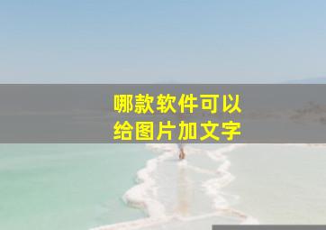 哪款软件可以给图片加文字