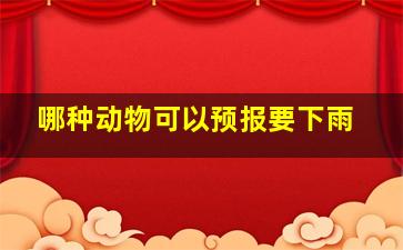 哪种动物可以预报要下雨